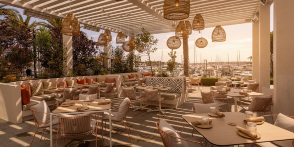 Ocean View Cafe: A Culinary Journey Through Local Delights