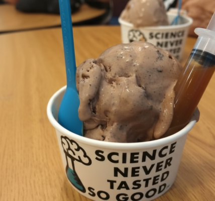 Brain Freeze Ice Cream: A Delicious Adventure in Desserts