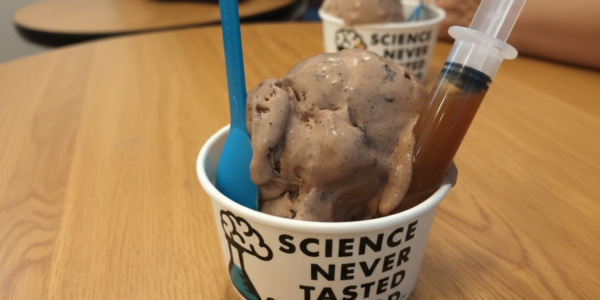 Brain Freeze Ice Cream: A Delicious Adventure in Desserts