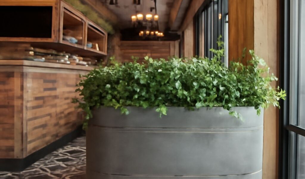 Tavern in the Square and Raleigh Tavern dining experience