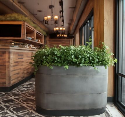 Tavern in the Square and Raleigh Tavern dining experience