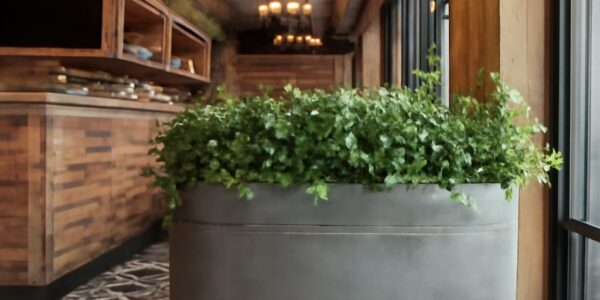 Tavern in the Square and Raleigh Tavern dining experience