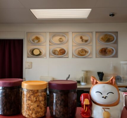 Delicious sisig and boba delights at Middlefield Tavern and Time for a Bagel