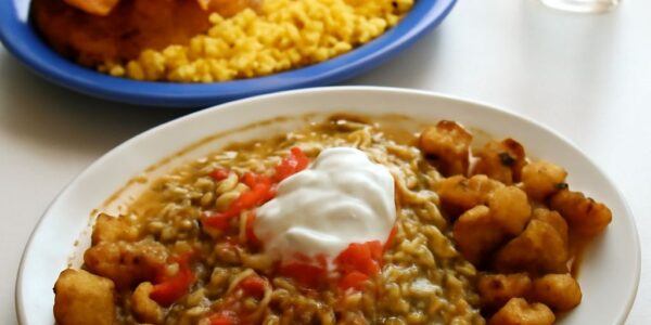 Cilantra Cafe menu featuring budger specialties and green chile bagel company delights